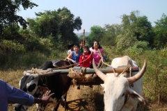 Bullock Cart Ride... at Kondgaon, Sudhagad