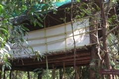 Jungle Abode, at camp-site, Bordi